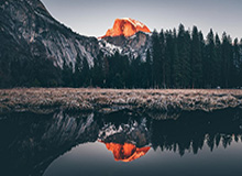 贝塞斯达新作MMO取消事件曝出更令人心碎的转折